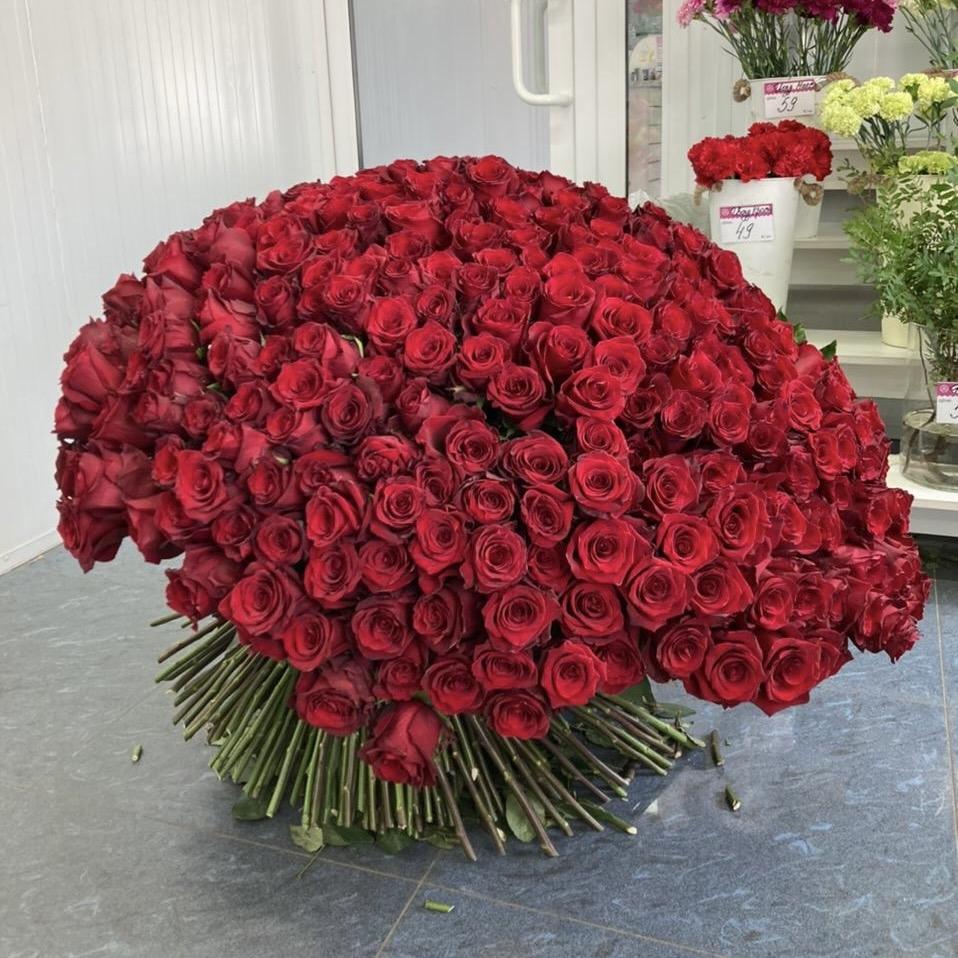 Букеты из красных роз 80 см (Эквадор) артикул букета - 212100