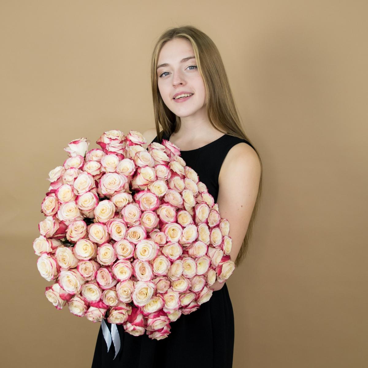 Розы красно-белые 75 шт 40 см (Эквадор) (код товара  93275vlad)