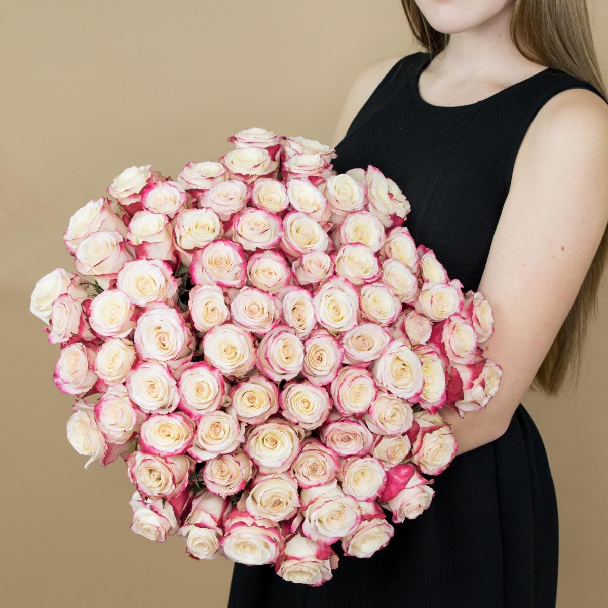 Розы красно-белые 101 шт. (40 см) Артикул   93450v