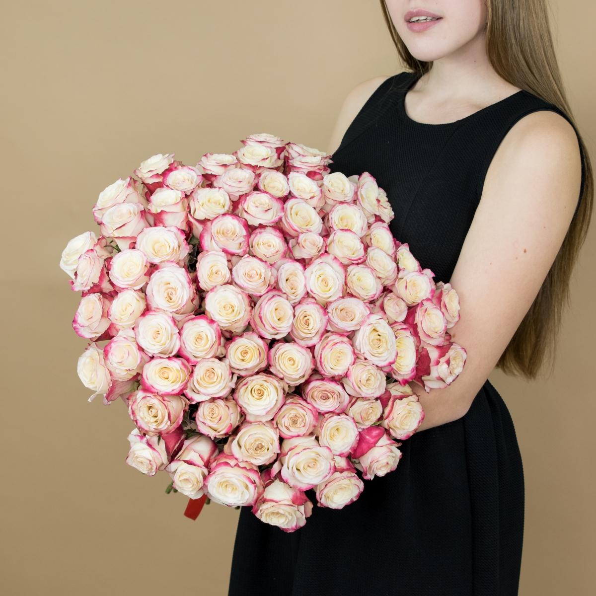 Розы красно-белые 101 шт. (40 см) Артикул   93450v